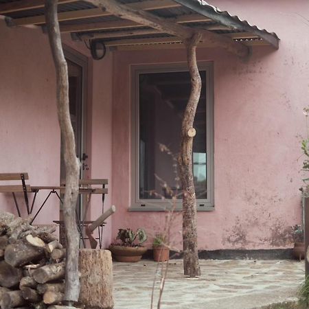 Cabana Do Dinamarques Em Arga De Baixo Εξωτερικό φωτογραφία