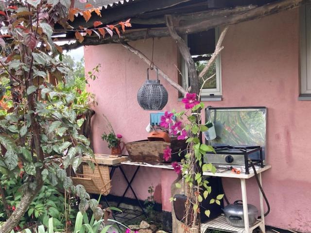 Cabana Do Dinamarques Em Arga De Baixo Εξωτερικό φωτογραφία